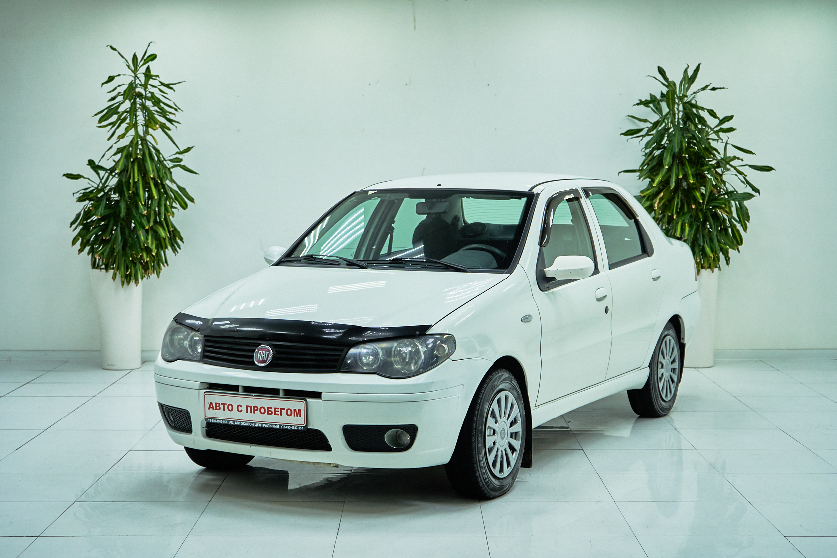 2012 Fiat Albea I Рестайлинг №6022592, Белый, 239000 рублей - вид 1