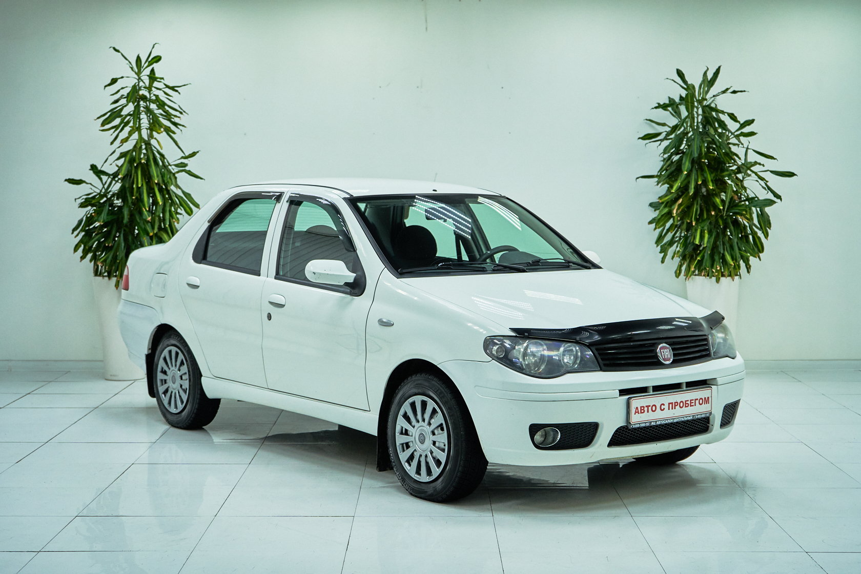 2012 Fiat Albea I Рестайлинг №6022592, Белый, 239000 рублей - вид 3