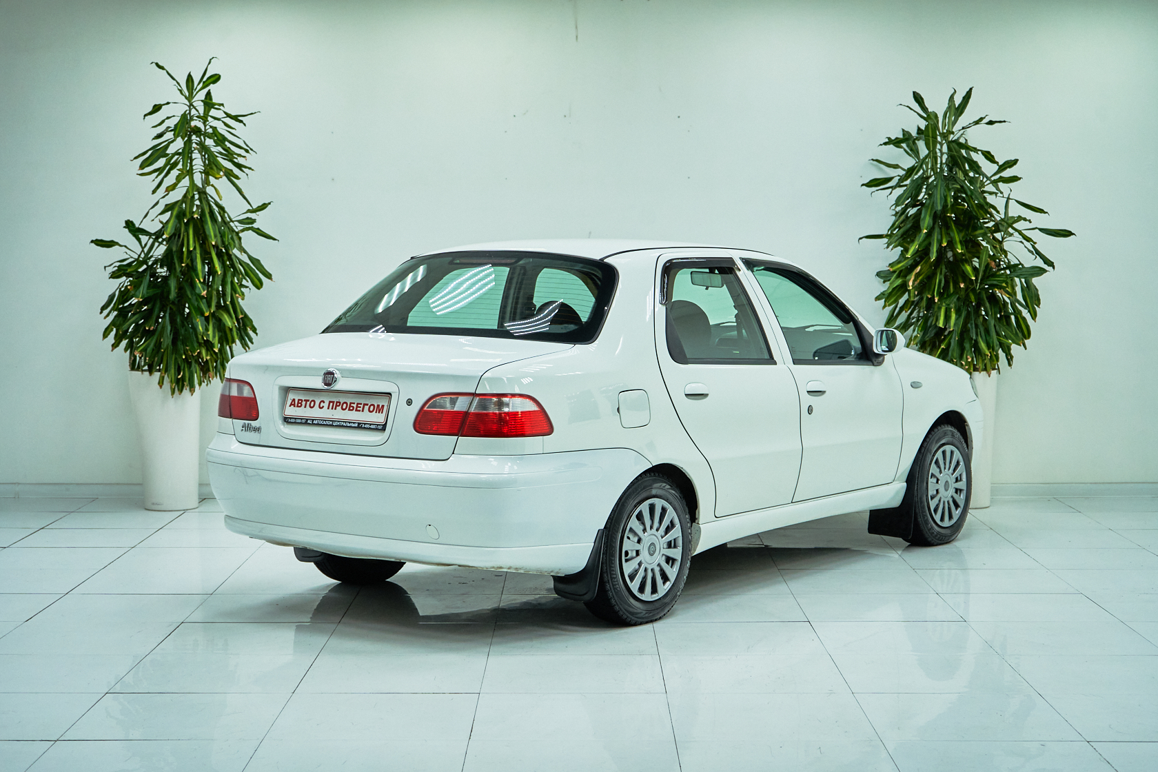 2012 Fiat Albea I Рестайлинг №6022592, Белый, 239000 рублей - вид 5