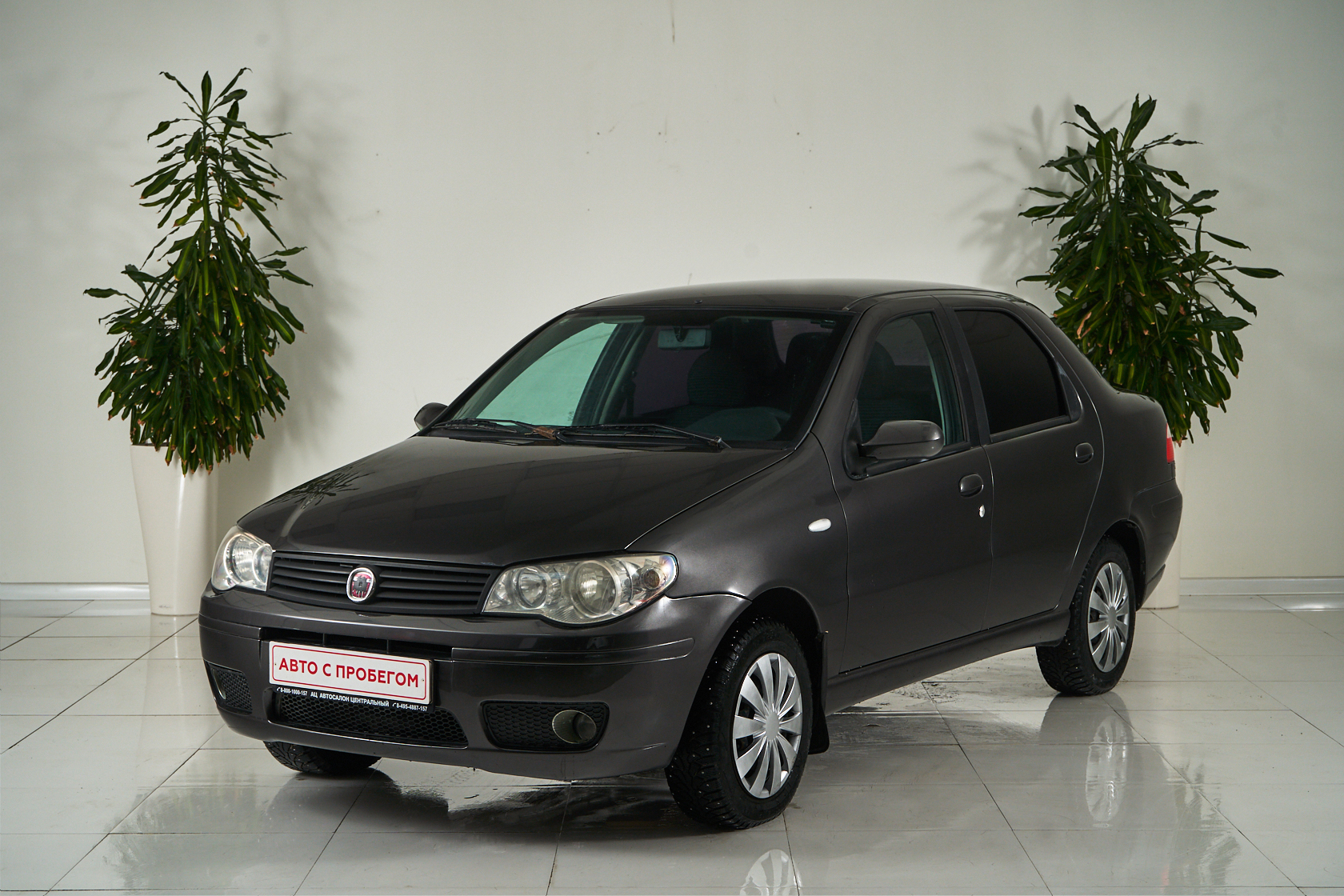 2009 Fiat Albea I Рестайлинг №6069560, Серый, 219000 рублей - вид 1