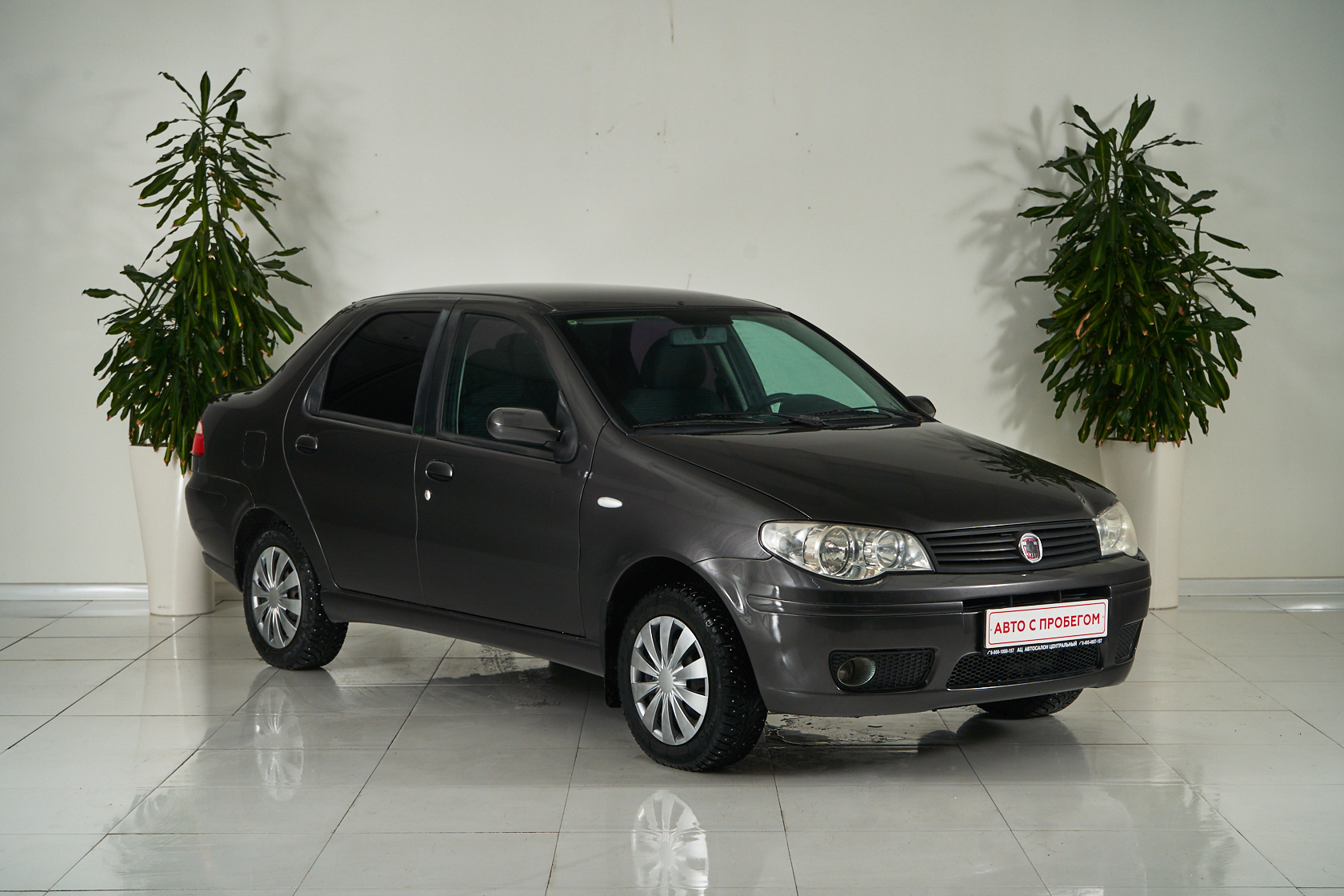 2009 Fiat Albea I Рестайлинг №6069560, Серый, 219000 рублей - вид 3