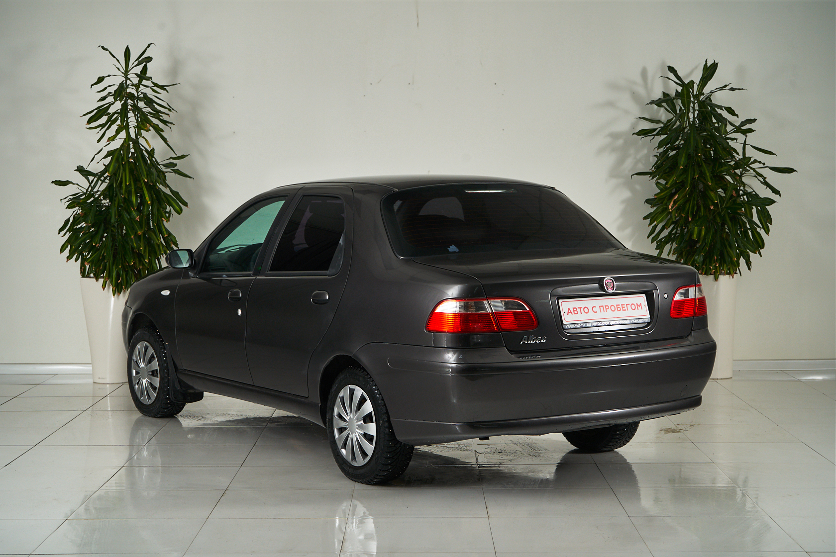 2009 Fiat Albea I Рестайлинг №6069560, Серый, 219000 рублей - вид 4